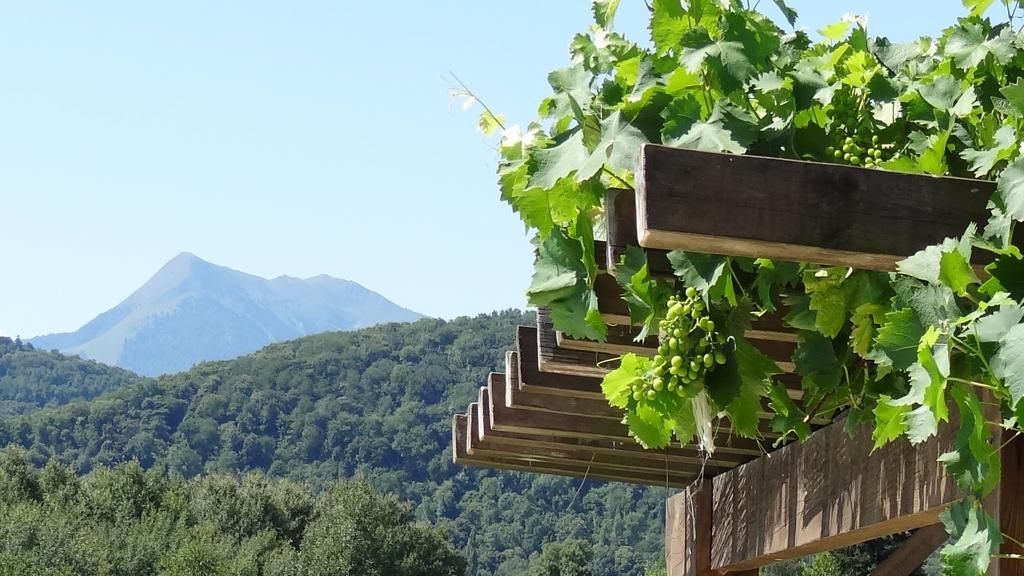 Gites Pyrenees Les Trois Montagnes Ganties Room photo